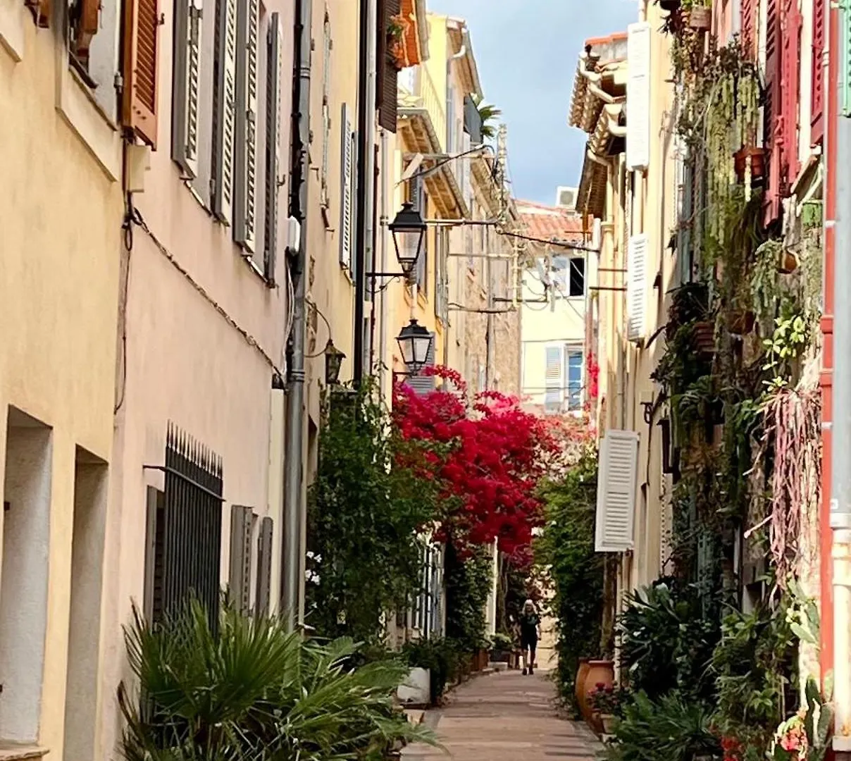 Les Petits Volets 3 Appartements Au Choix Antibes Apartment